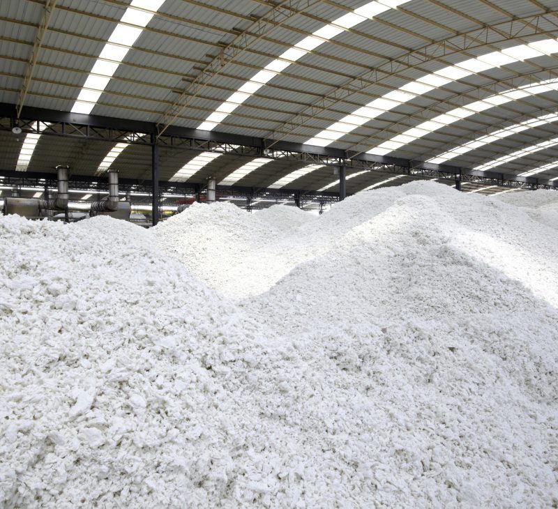 Paper,Mill's,Paper-making,Raw,Materials